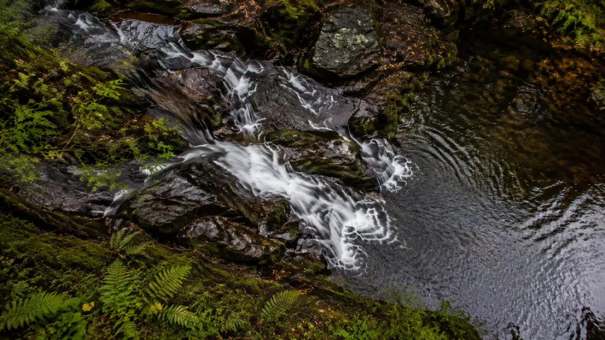 Editorial illustration looking straight down at a fictional woodland cascade, mossy rocks and a reflective pool.